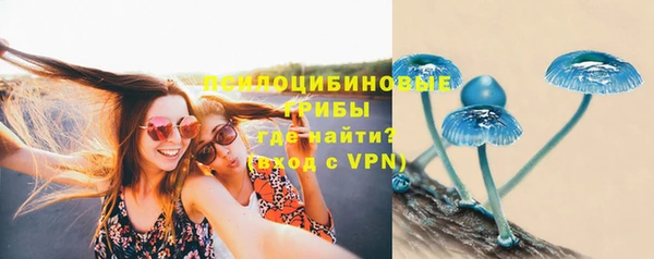 PSILOCYBIN Магадан