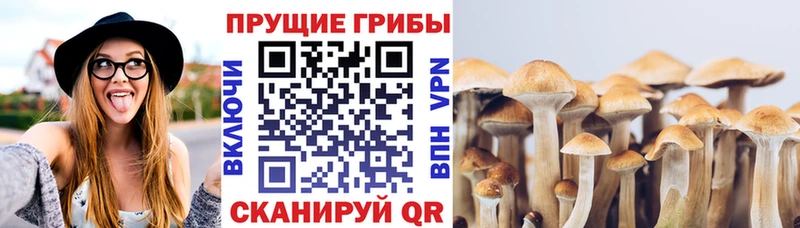 Псилоцибиновые грибы мицелий  Ухта 